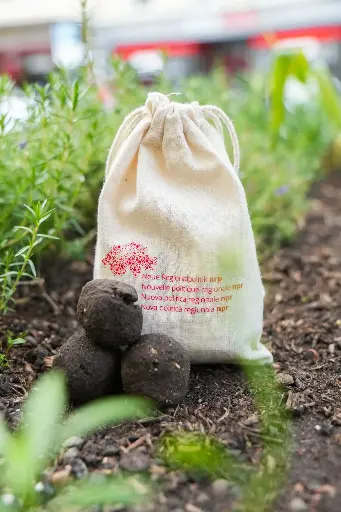 Seedballs mit Säckchen